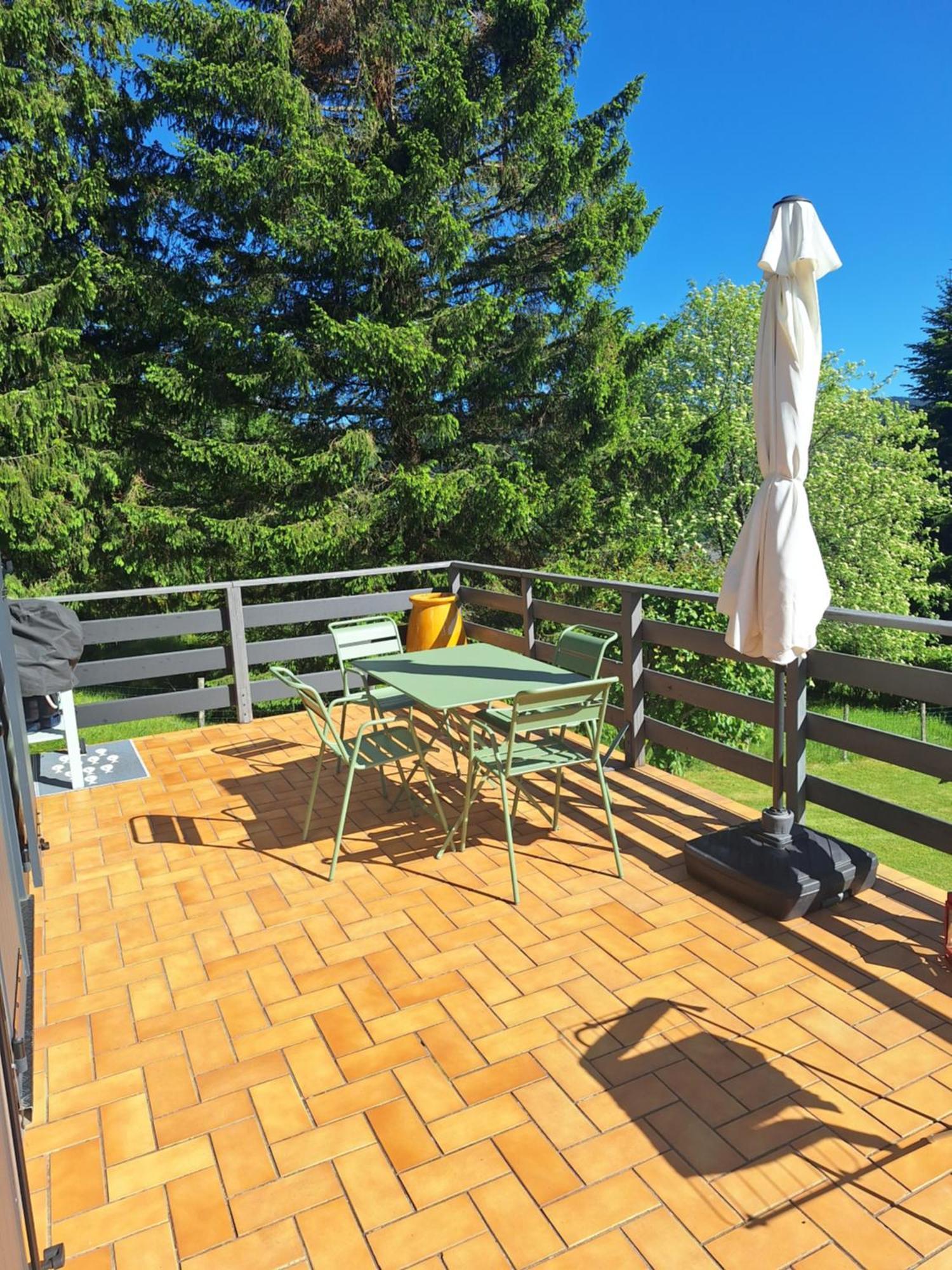 Chalet Dionysos Murat-le-Quaire Exterior photo